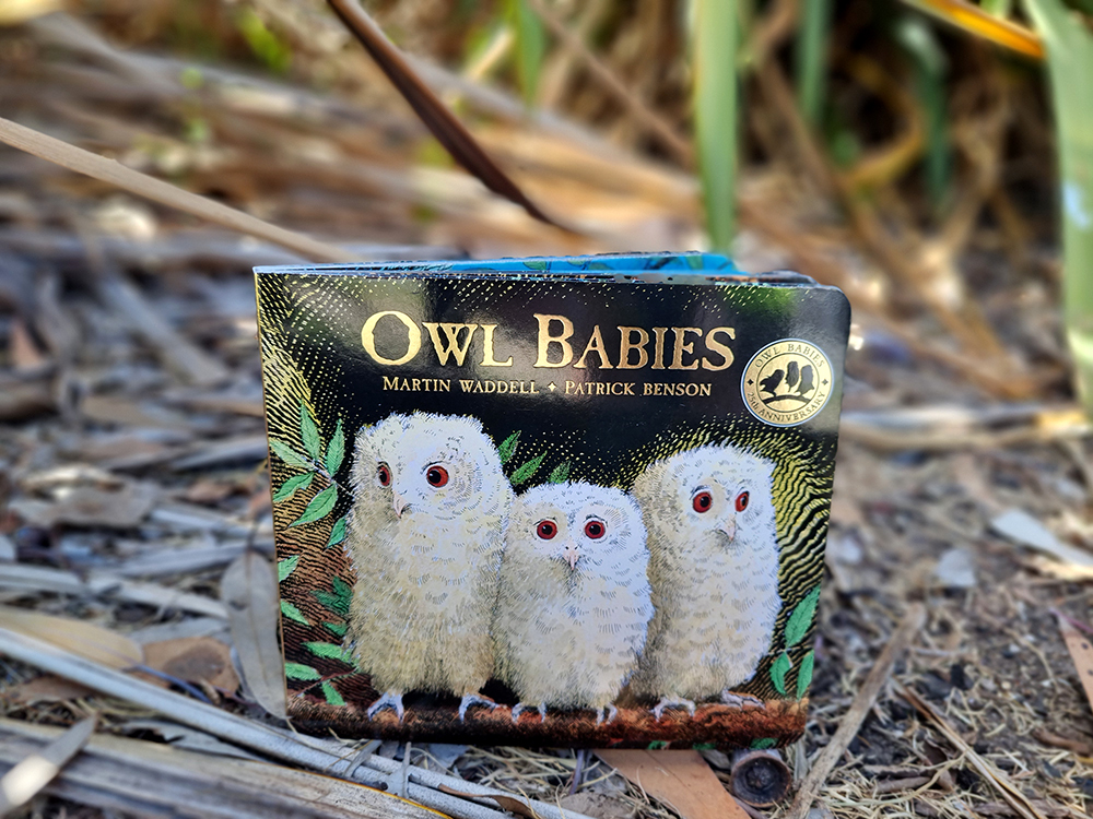 Owl Babies - Board Book