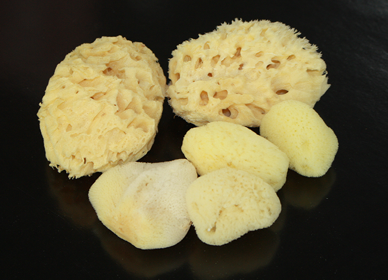 Papoose Natural Sea Sponge - Set of 6