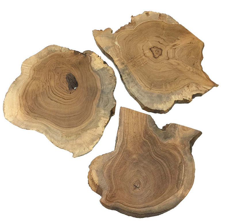 Natural Wood Slice - each