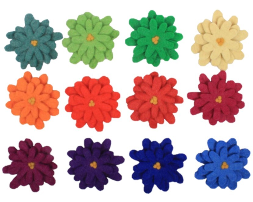 Rainbow Asters -12pcs