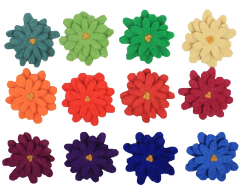 Papoose Rainbow Asters -12pcs