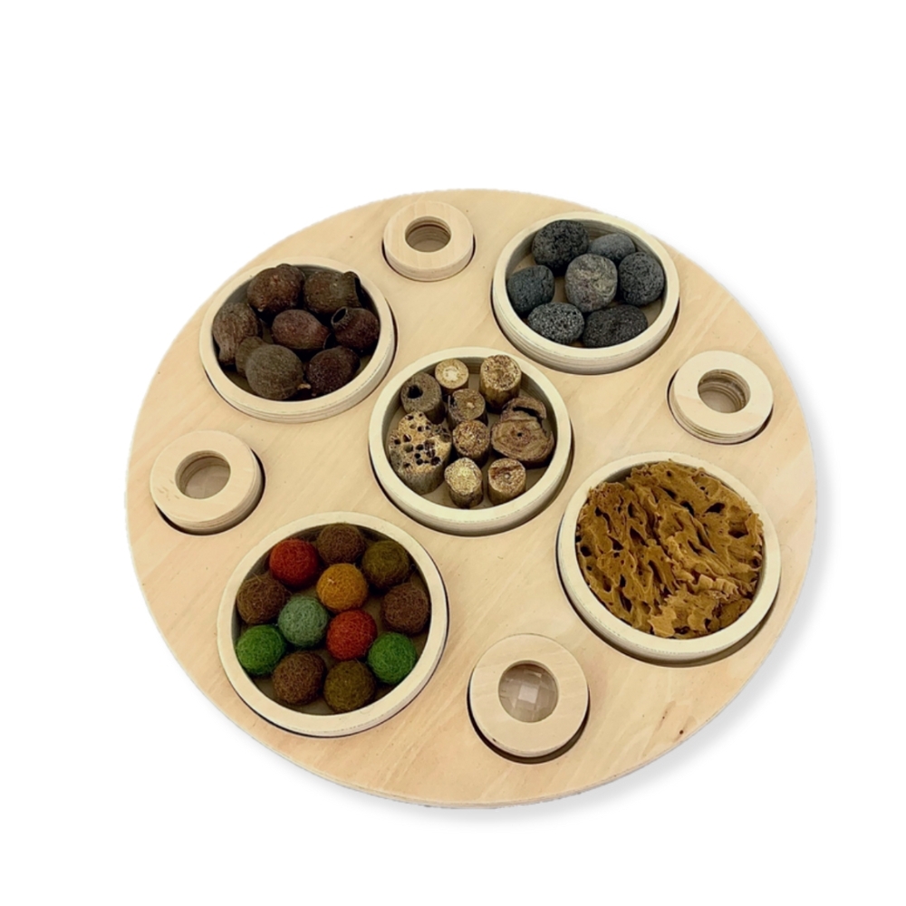 Round Sensory Board With Resources