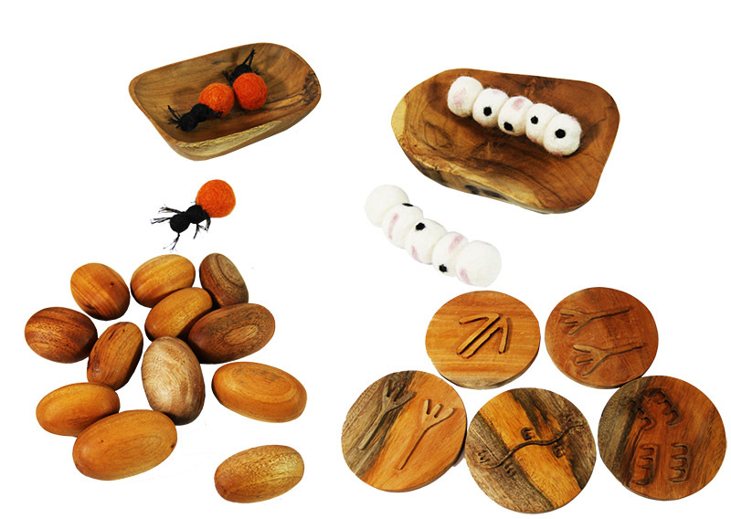 Indigenous Resource Set - 25pcs