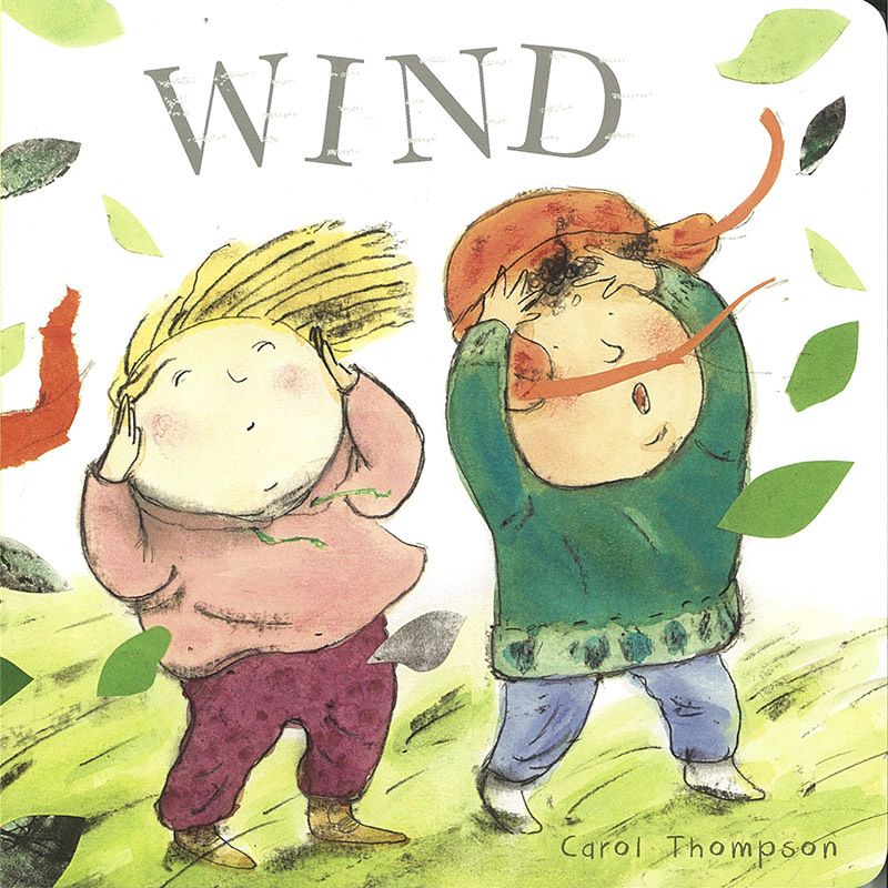 Whatever The Weather Baby Board Book - Wind