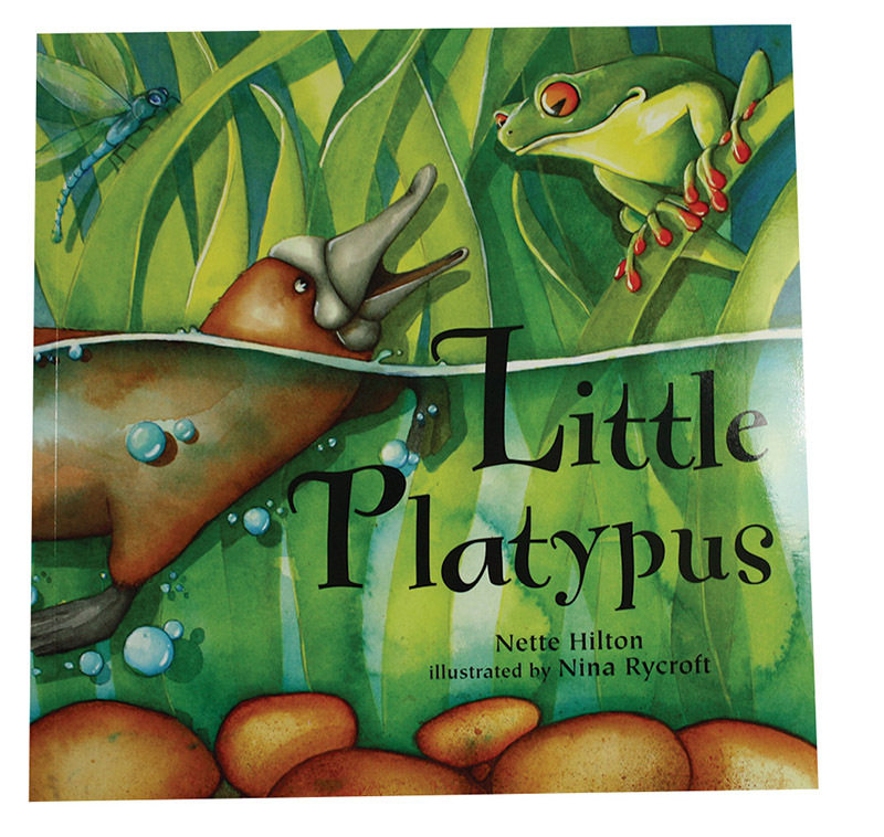 Little Platypus - Book Only