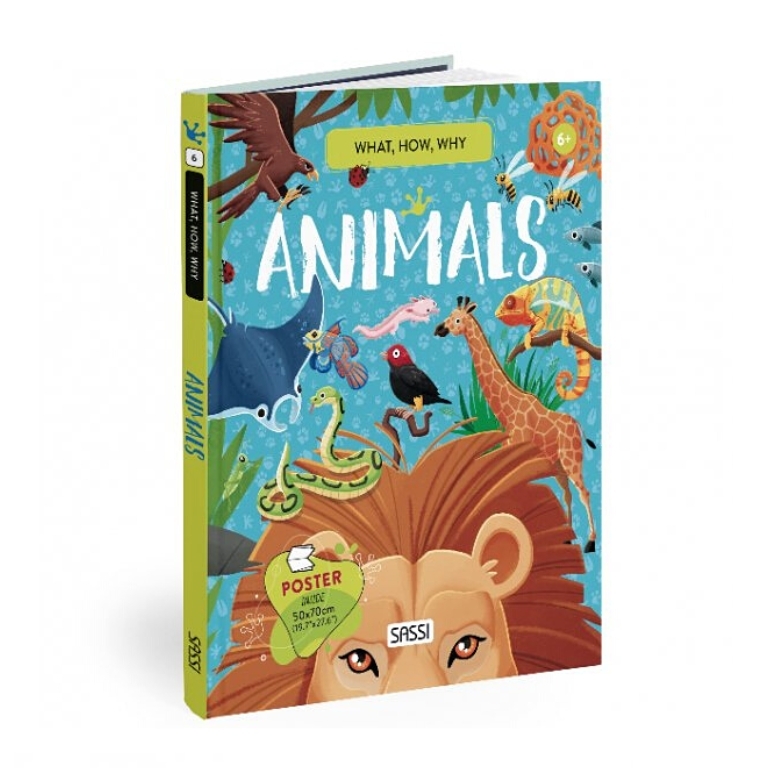 What How Why - ANIMALS Book & Poster