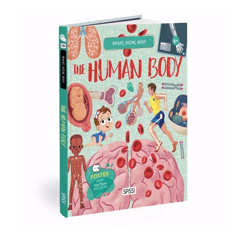 What How Why - THE HUMAN BODY Book & Poster