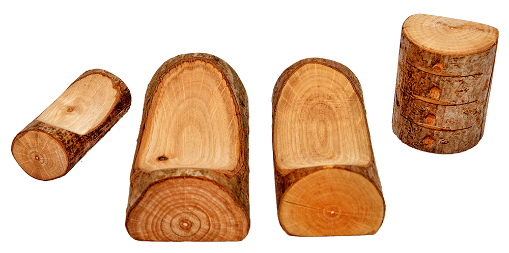 Magic Wood Tree House Bedroom Furniture - 4pcs