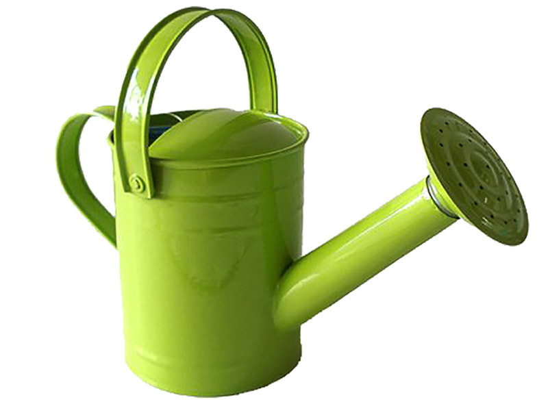 Twigz Watering Can - Green 1.5 Litre