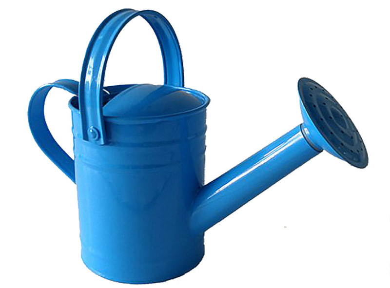 Twigz Watering Can - Blue 1.5 Litre