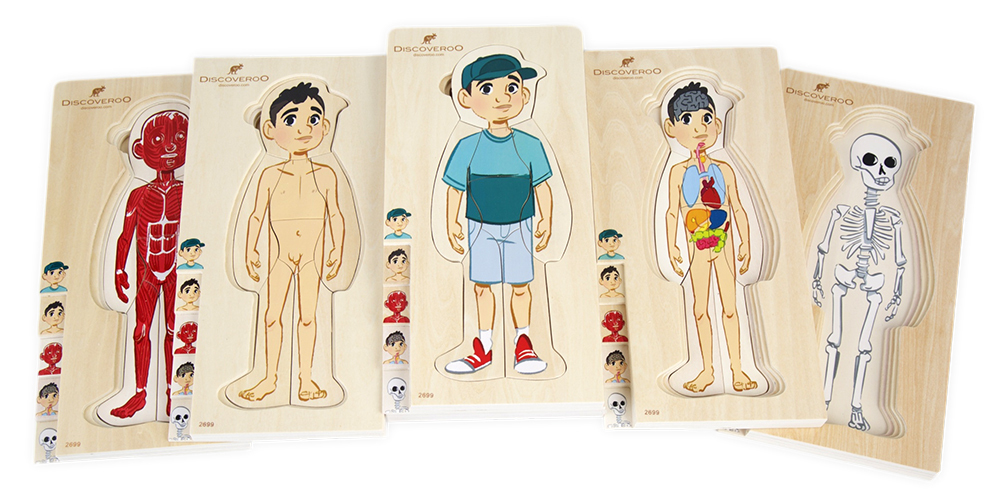 Discoveroo 5 Layer Body Puzzle - Boy