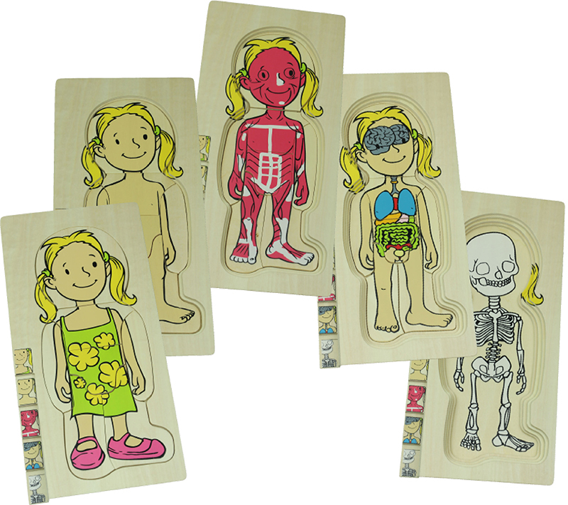 Discoveroo 5 Layer Body Puzzle - Girl
