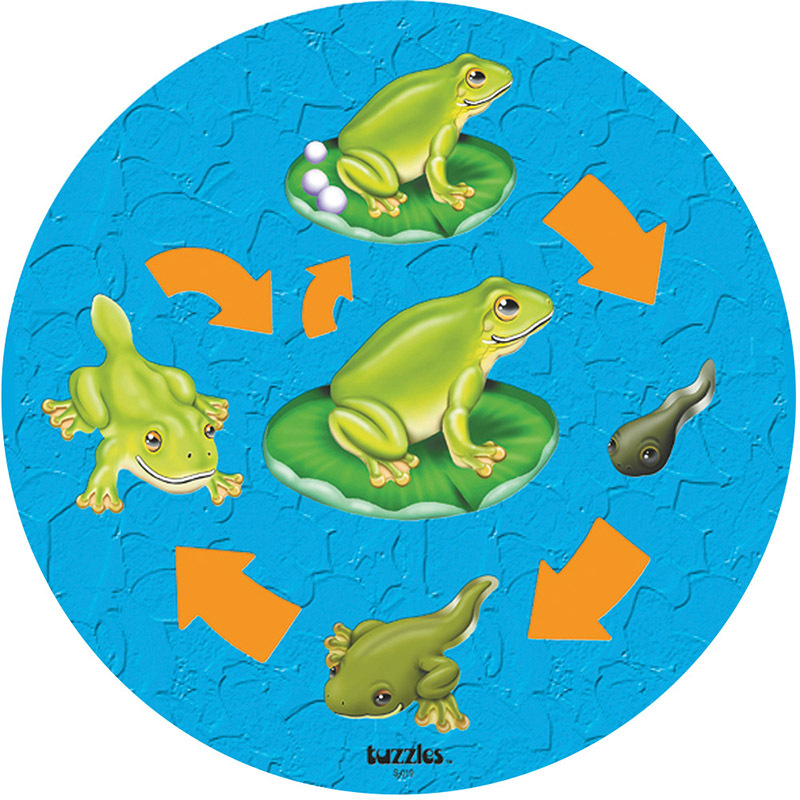 Tuzzles Life Cycle Raised Puzzle - Frog 10pcs