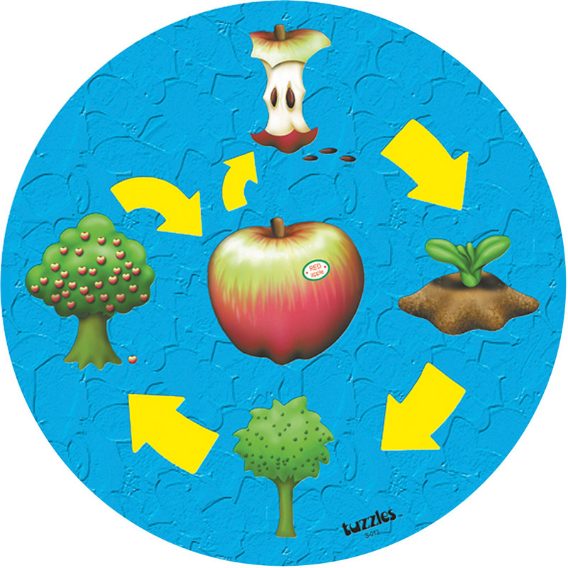 Tuzzles Life Cycle Raised Puzzle - Apple 10pcs