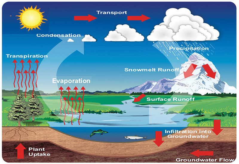 Tuzzles Water Cycle - 40 x 30cm 24pcs