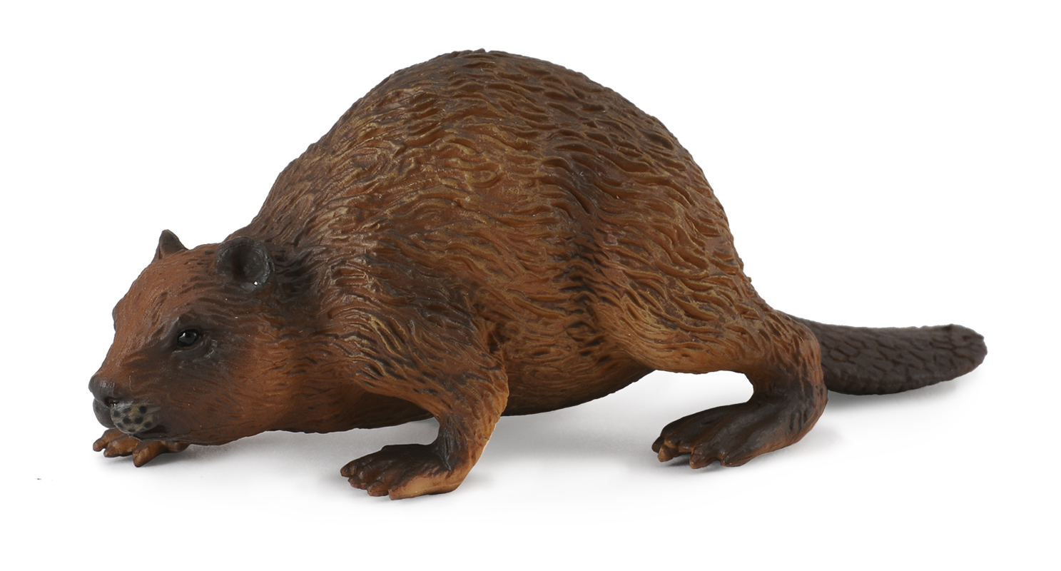 CollectA Woodland Life Replica - Beaver 9 x 4cmH