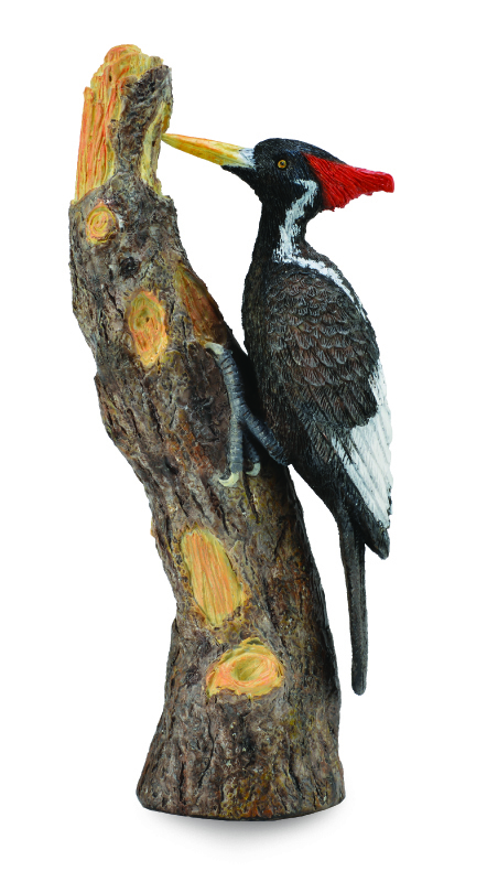 CollectA Woodland Life Replica - Woodpecker 4.3 x 10cmH