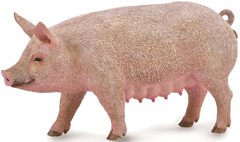 CollectA Farm Life Replica - Pig 10 x 5cmH