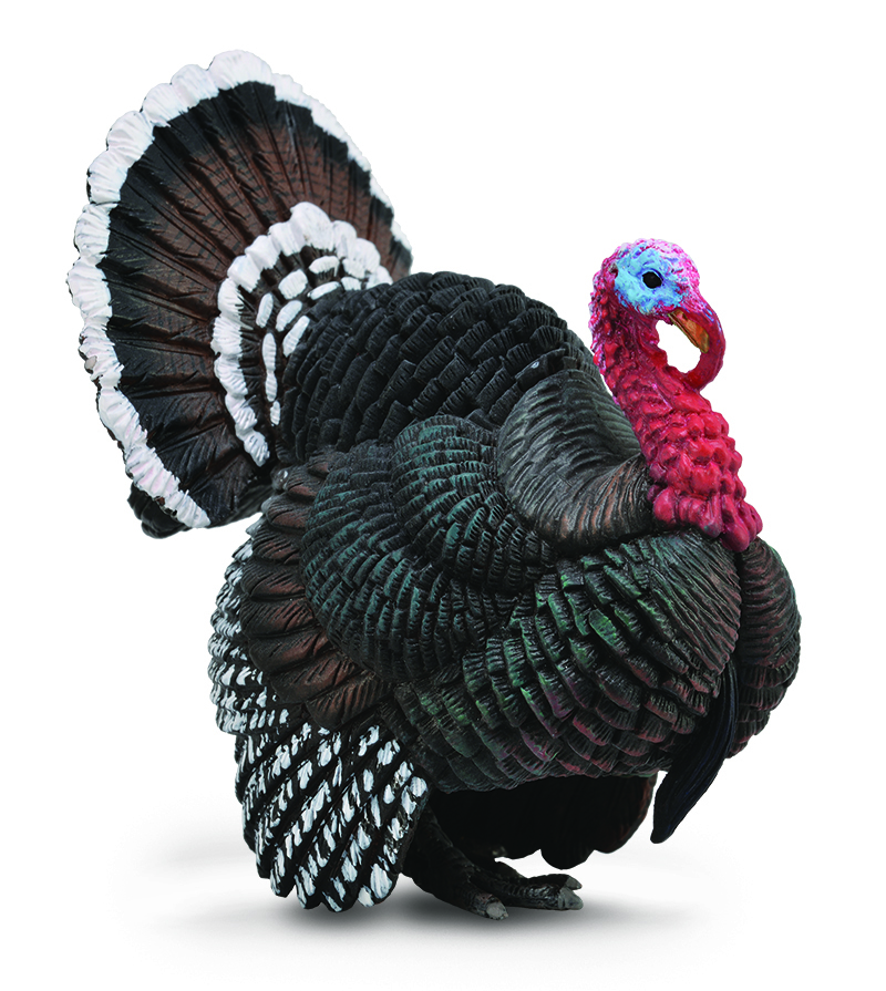 CollectA Farm Life Replica - Turkey 8 x 8cmH