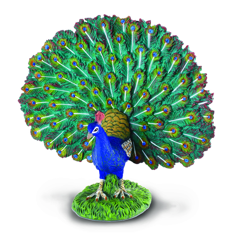 CollectA Farm Life Replica - Peacock 10 x 9cmH