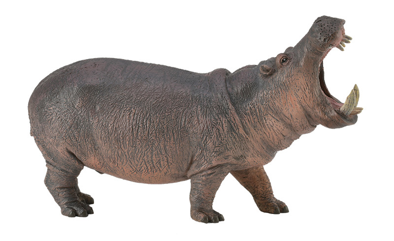 CollectA Wild Life Replica - Hippopotamus 13 x 6cmH