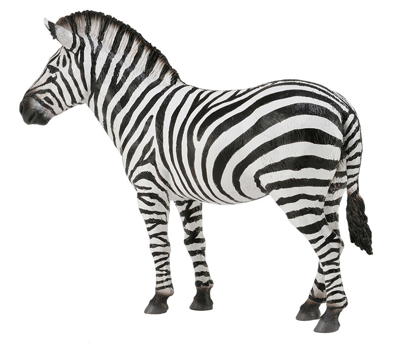 CollectA Wild Life Replica - Common Zebra 12 x 9.5cmH