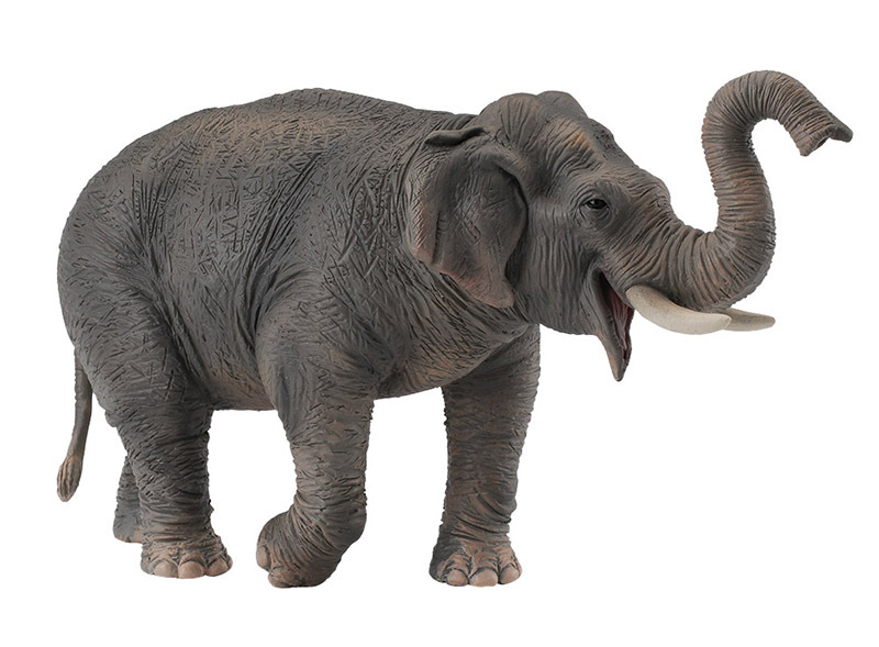 CollectA Wild Life Replica - Asian Elephant 15 x 8.5cmH