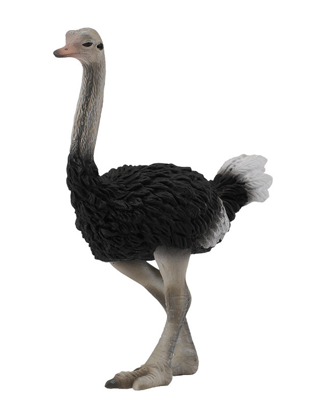 CollectA Wild Life Replica - Ostrich 8.5 x 9.5cmH