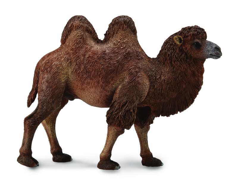 CollectA Wild Life Replica - Camel 12 x 10cmH