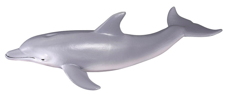 CollectA Sea Life Replica - Bottlenose Dolphin 15 x 4.5cmH