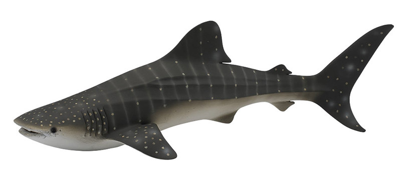 CollectA Sea Life Replica - Whale Shark 24.5 x 7cmH
