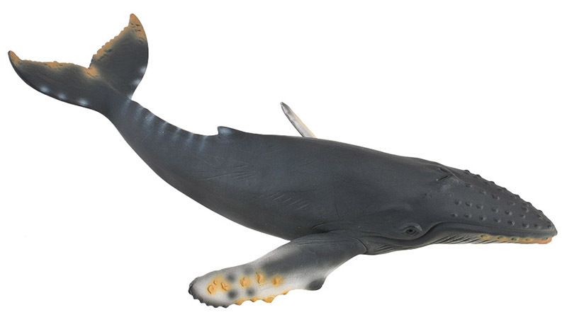 CollectA Sea Life Replica - Hump Back Whale 21 x 5cmH
