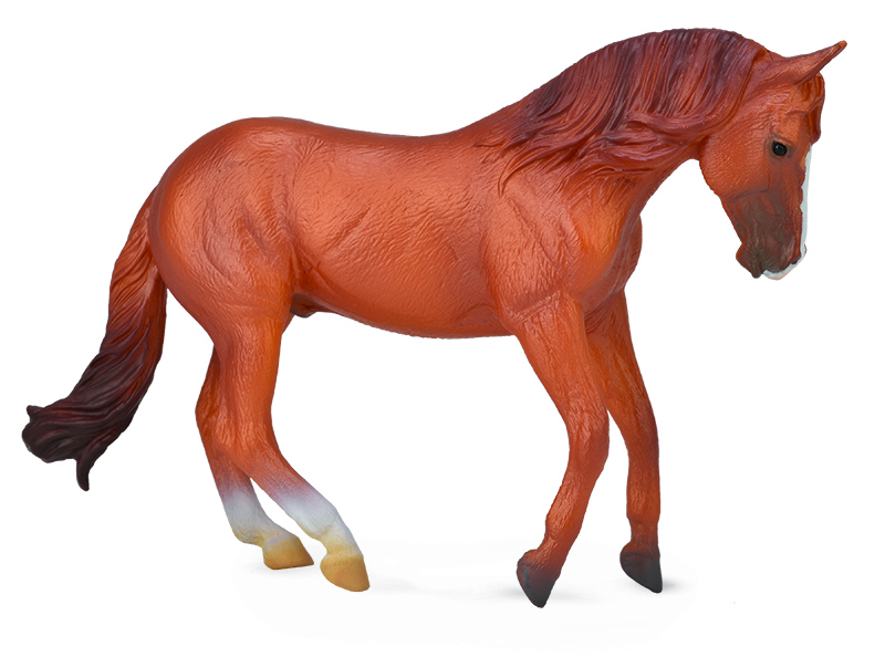 CollectA Horse Life Replica - Australian Stock Horse Stallion Chestnut 15 x 10cmH