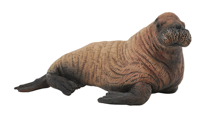 CollectA Polar Life Replica - Walrus Calf 7 x 3cmH