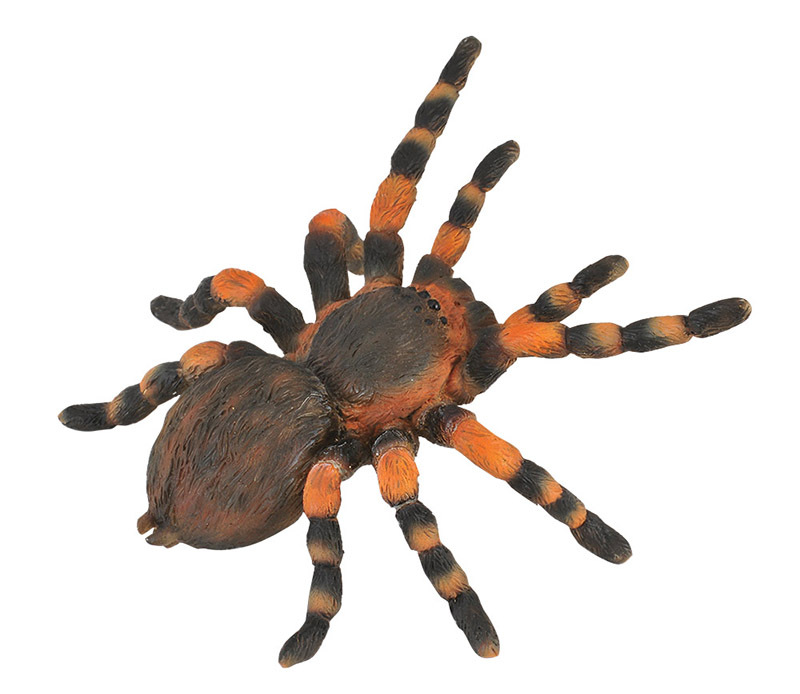 CollectA Insects & Bug Life Replica - Red Knee Tarantula 8 x 3.5cmH