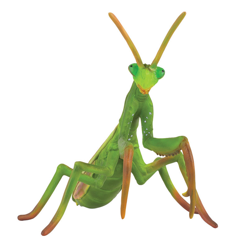 CollectA Insects & Bug Life Replica - Praying Mantis 11 x 8cmH