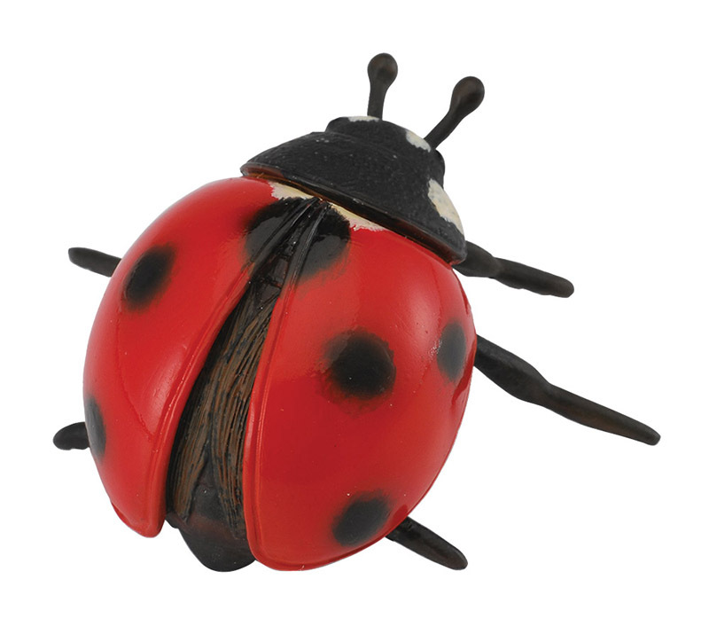 CollectA Insects & Bug Life Replica - Ladybird 5.5 x 3cmH