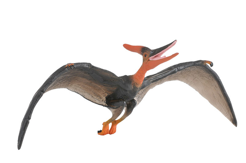CollectA Dinosaur Replica - Pteranodon 36 x 12cmH