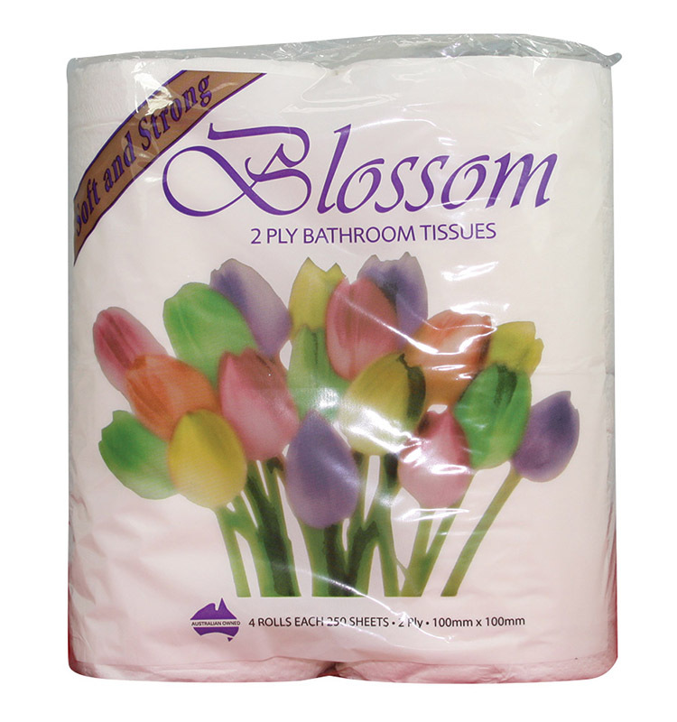 Blossom Deluxe Toilet Rolls - 2ply 250 sheets x 48 Rolls
