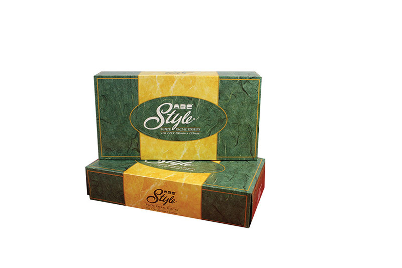 Style Facial Tissues - 2ply 100 sheets x 48pks (A213255)
