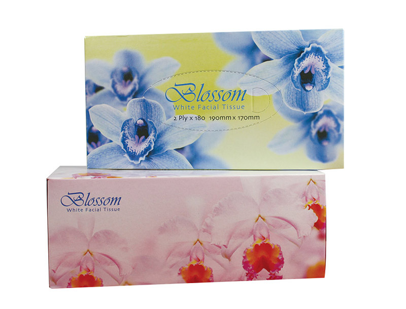 Blossom Facial Tissues - 2ply 180 sheets x 32pks