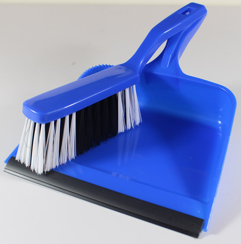 Dust Pan & Brush Set - Blue