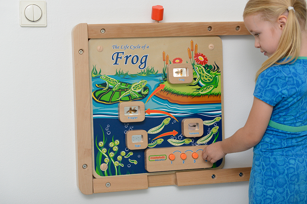 Masterkidz Wall Elements - Light-Up Frog Life Cycle Stages Panel