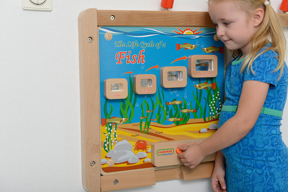 *Masterkidz Wall Elements - Light-Up Fish Life Cycle Stages Panel
