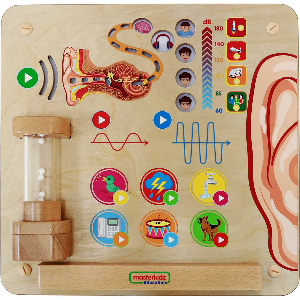 *SPECIAL: Masterkidz Wall Elements - Sense of Hearing