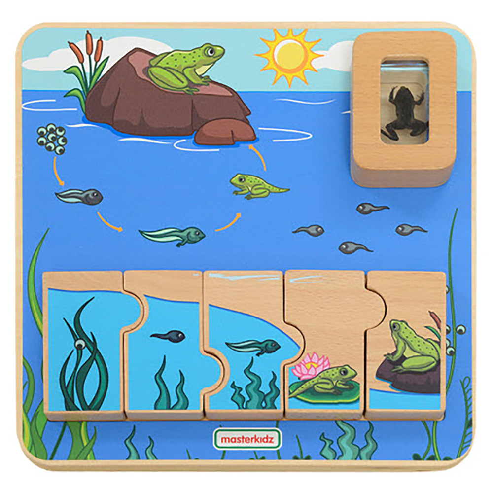 Masterkidz Frog Life Cycle Handy Learning Board