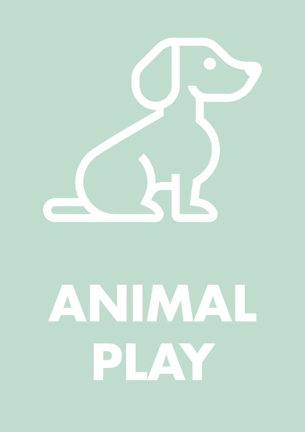 Animal Play