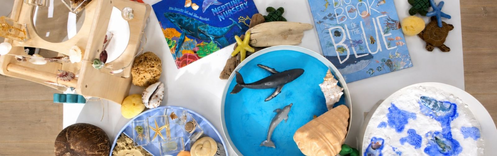 Ocean Wonders