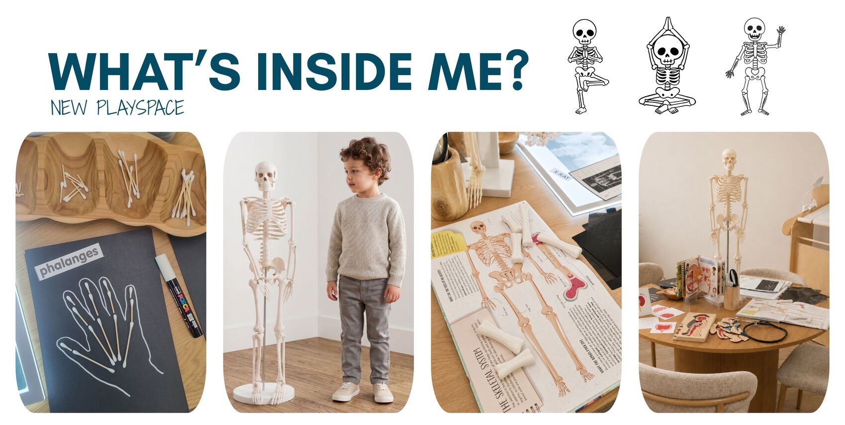 What's Inside Me? - Playspace