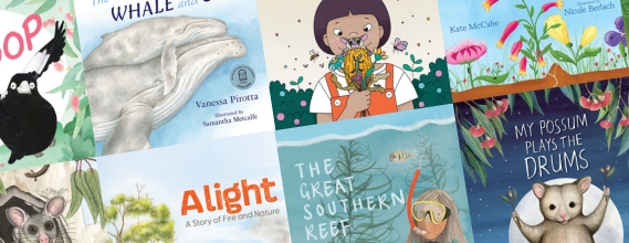 Book Packs image